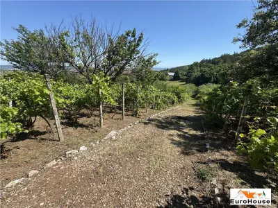 Casă 4 camere Alba Iulia - poza 32