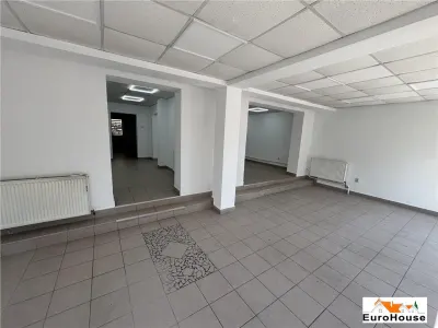 Spatiu comercial de inchiriat in Alba Iulia zona Cetate - foto 7