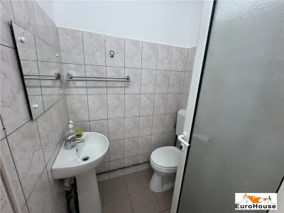 Spatiu comercial de inchiriat in Alba Iulia zona Cetate - foto 9