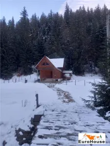 Casă 5 camere Arieseni - poza 3