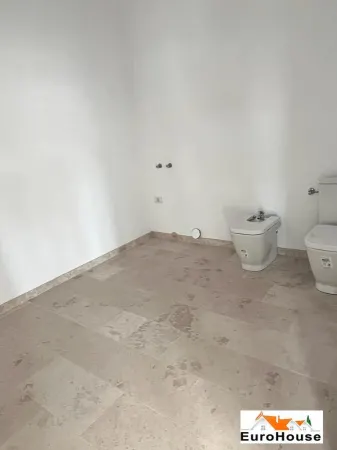 Spațiu comercial Alba Iulia - poza 2