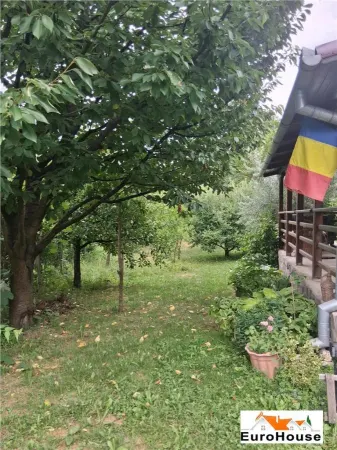 Casă 3 camere Presaca Ampoiului - poza 6