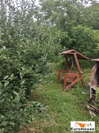 Casă 3 camere Presaca Ampoiului - poza 8