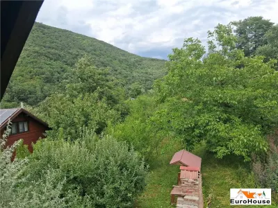Casă 3 camere Presaca Ampoiului - poza 9