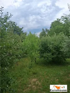 Casă 3 camere Presaca Ampoiului - poza 10