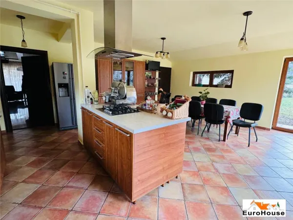 Casă 6 camere Alba Iulia - poza 30