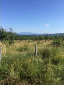 Teren de 43.000 mp in Budești - foto 4