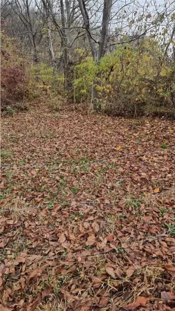Teren Râmnicu Vâlcea - poza 4