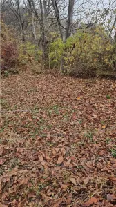 Teren Râmnicu Vâlcea - poza 4