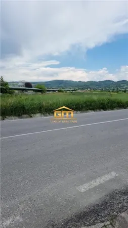 Teren Copacelu - poza 2