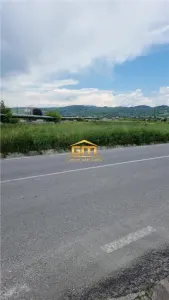 Teren Copacelu - poza 2