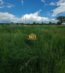 Teren Copacelu - poza 4