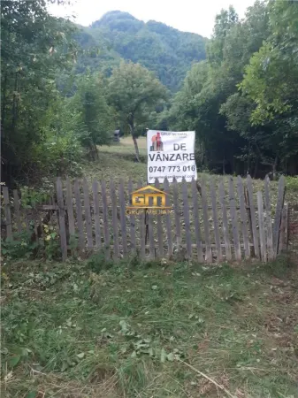 Teren Malaia - poza 1