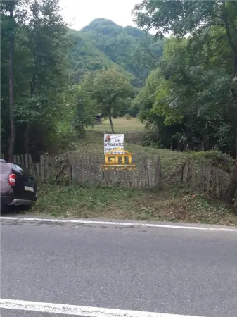Teren Malaia - poza 2