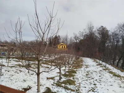 Casă 3 camere Cernisoara - poza 8