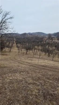 Teren Vladesti - poza 1