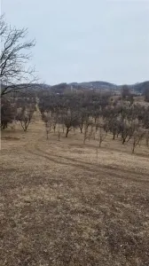 Teren 18000 mp, Vladesti - Vladesti