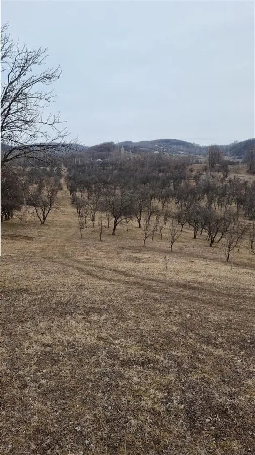 Teren Vladesti - poza 1