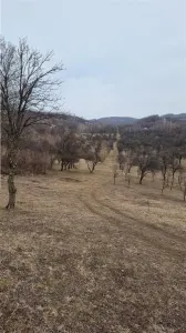 Teren Vladesti - poza 2