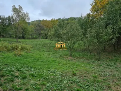 Teren Daesti - poza 2