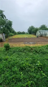 Casă cu teren 1.000 mp - Comuna Galicea - foto 6