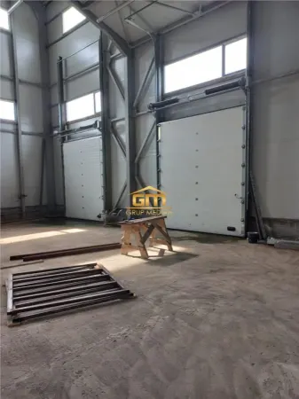 Spațiu industrial Mihaesti - poza 1