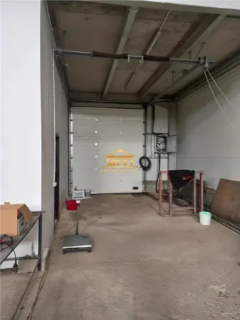 Spațiu industrial Mihaesti - poza 2