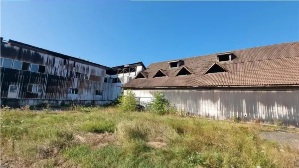 Spațiu industrial Daesti - poza 3