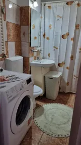 Apartament 2 camere de inchiriat - Nord (Calea lui Traian), decomandat, mobilat și utilat - foto 10