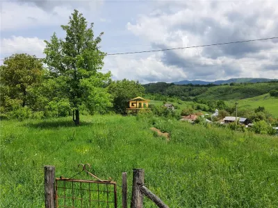 Casuta batraneasca cu 10150 mp teren in com.Salatrucel - foto 5
