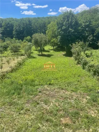 Casă 9 camere Bujoreni - poza 2