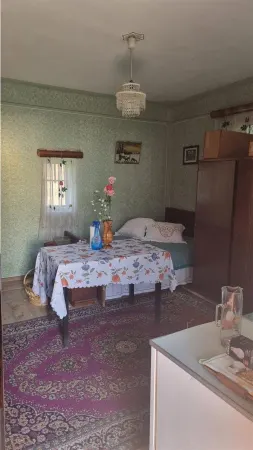 Casă 2 camere Berislavesti - poza 6