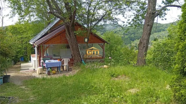Casă 2 camere Golești - poza 4