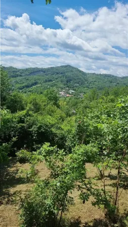 Casă 2 camere Golești - poza 7