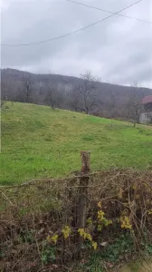 Teren Vladesti - poza 3