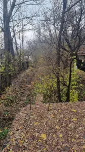 Teren 16.800 mp cu deschidere la strada principală, Budesti - Budesti