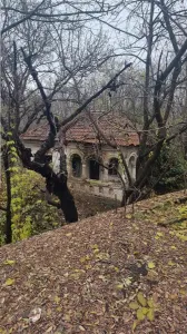Teren 16.800 mp cu deschidere la strada principală, Budesti - foto 2