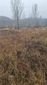 Teren extravilan 1.160 mp in Budești - foto 2
