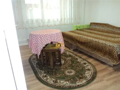 Apartament 2 camere Râmnicu Vâlcea - poza 5
