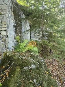 Teren 5234mp  intravilan de vanzare - Malaia, sat Ciunget, cu fundație - foto 4