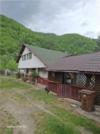 Casă 5 camere Pascoaia - poza 1