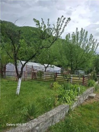 Casă 5 camere Pascoaia - poza 2