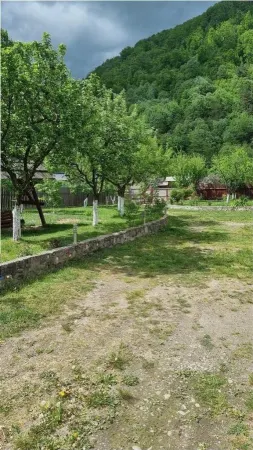 Casă 5 camere Pascoaia - poza 3
