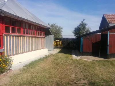 Casă tradițională, cu 12.500 mp teren și anexe gospodărești - Vulturești, județul Olt - Vulturesti