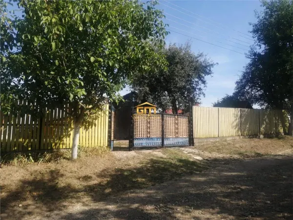 Casă 3 camere Vulturesti - poza 3
