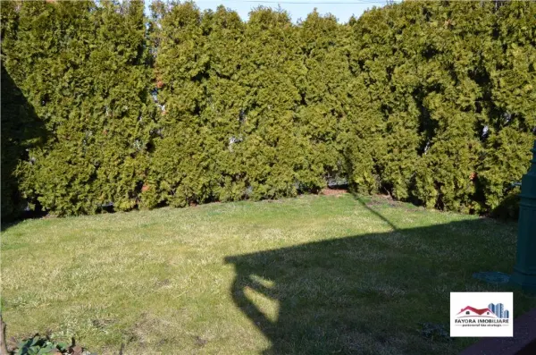 Birou Târgu Mureș - poza 8
