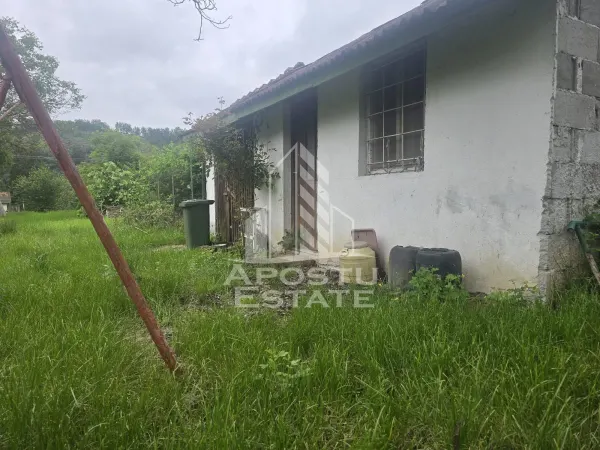 Casă 3 camere Gurahont - poza 23