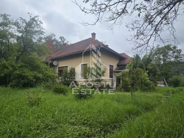 Casă 3 camere Gurahont - poza 4