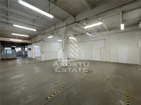 Spațiu industrial Timișoara - poza 1