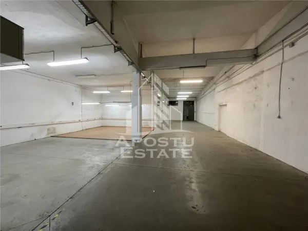 Spațiu industrial Timișoara - poza 2